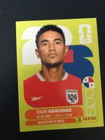 Panini FIFA World Cup Sticker PAN 14